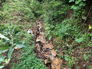 강성민님의 벼 · 영농일지 작성글 사진