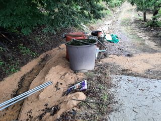 강성민님의 벼 · 영농일지 작성글 사진