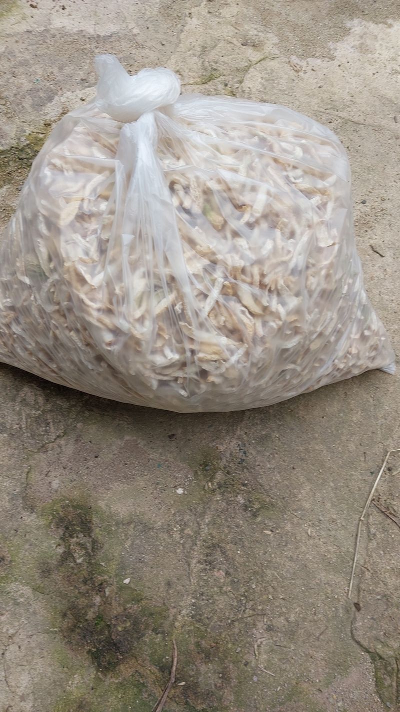 장터 상품 [무우말랭이3키로] 썸네일