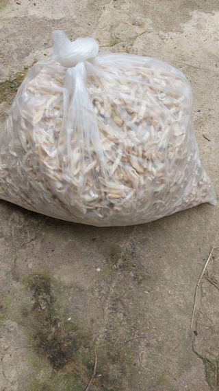 손경식님의 작성글 사진