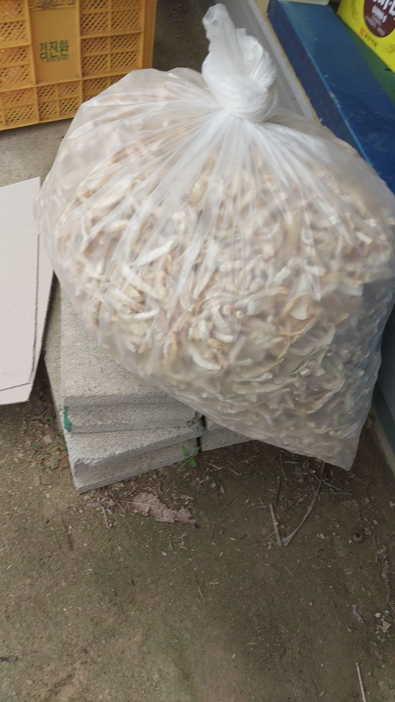 손경식님의 장터 판매 상품 [무우말랭이3키로] 첨부 사진