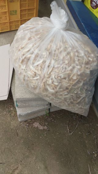 손경식님의 작성글 사진