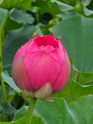 양철주님의 우리동네 · 동네자랑 작성글 사진