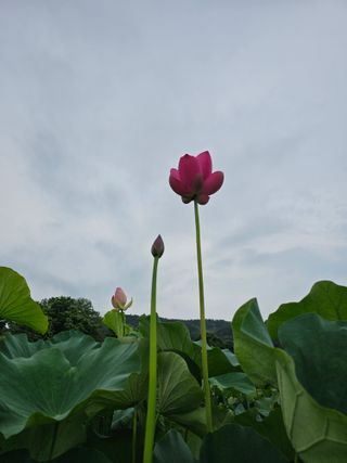 양철주님의 우리동네 · 동네자랑 작성글 사진