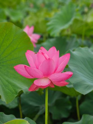 양철주님의 우리동네 · 동네자랑 작성글 사진