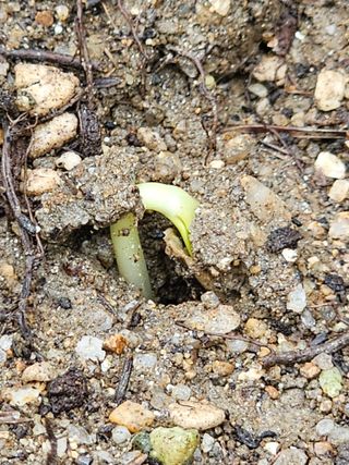 양철주님의 우리동네 · 동네자랑 작성글 사진