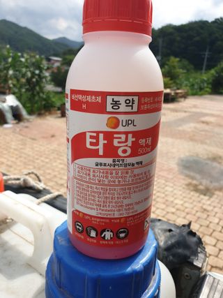 김영훈 님의 최고의 제초제는 무엇인가요? · 참여 작성글 사진