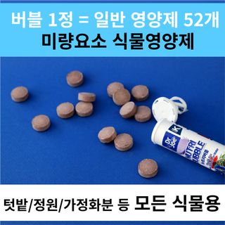 (주)누보님의 작성글 사진