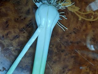 염소님의 마늘 · 병해충상담 작성글 사진