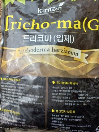 농민님의 상추 · 자유게시판 작성글 사진