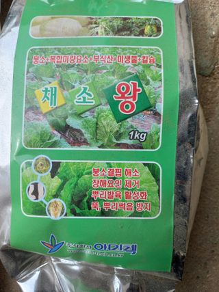 농민님의 상추 · 자유게시판 작성글 사진