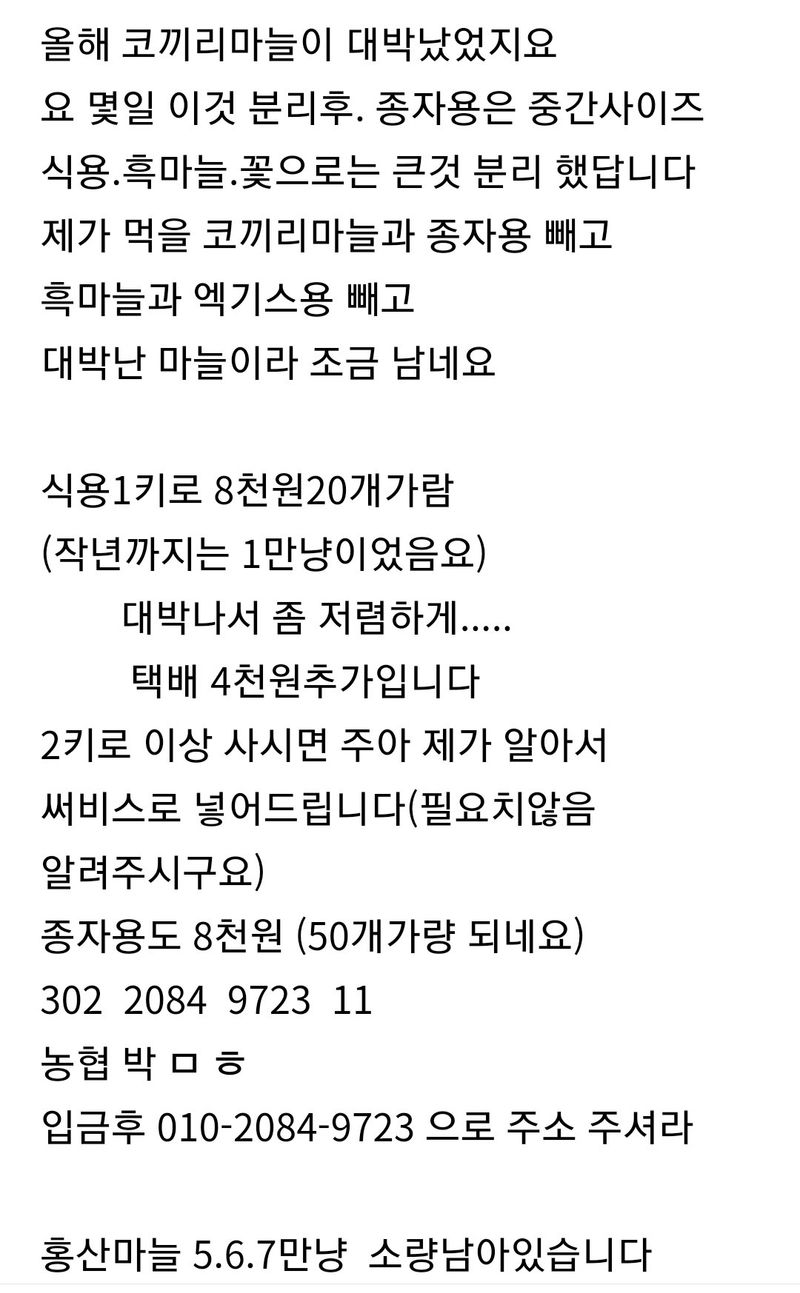 삼성농산님의 장터 판매 상품 [(마감)코끼리마늘 식용.종자 잔량판매] 첨부 사진