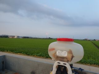 창네리님의 벼 · 영농일지 작성글 사진
