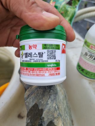 정영기대산축산농부♡님의 기타작물 · 영농일지 작성글 사진