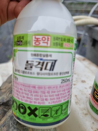 정영기대산축산농부♡님의 기타작물 · 영농일지 작성글 사진