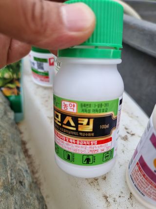 정영기대산축산농부♡님의 기타작물 · 영농일지 작성글 사진