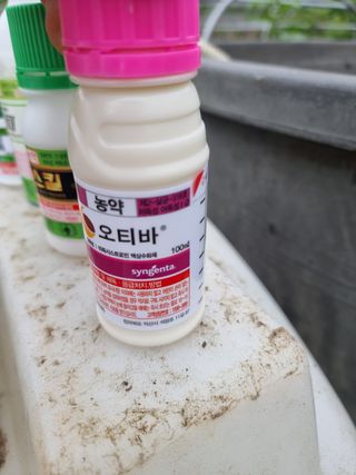 정영기대산축산농부♡님의 기타작물 · 영농일지 작성글 사진