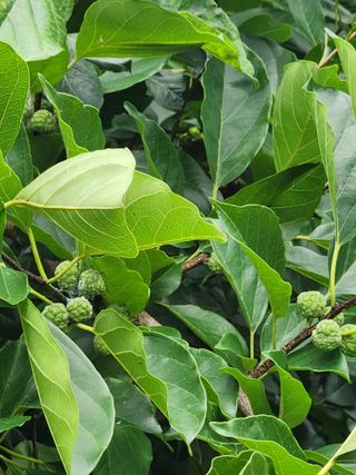 최군환님의 기타작물 · 자유게시판 작성글 사진