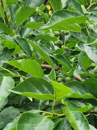 최군환님의 기타작물 · 자유게시판 작성글 사진