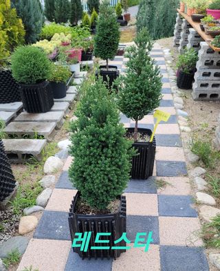 이선미님의 기타작물 · 자유게시판 작성글 사진