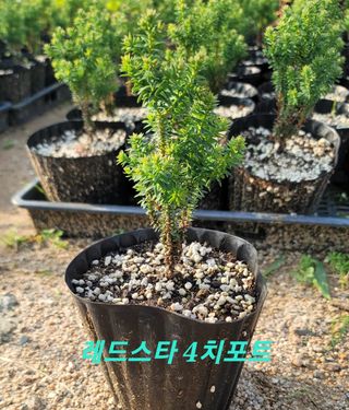 이선미님의 기타작물 · 자유게시판 작성글 사진