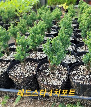 이선미님의 기타작물 · 자유게시판 작성글 사진