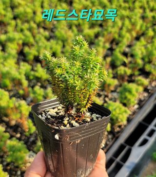 이선미님의 기타작물 · 자유게시판 작성글 사진