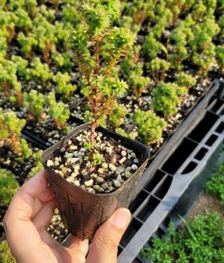 이선미님의 기타작물 · 자유게시판 작성글 사진