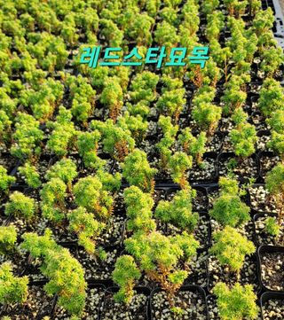 이선미님의 기타작물 · 자유게시판 작성글 사진