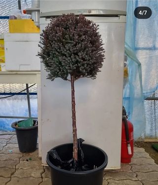 이선미님의 기타작물 · 자유게시판 작성글 사진