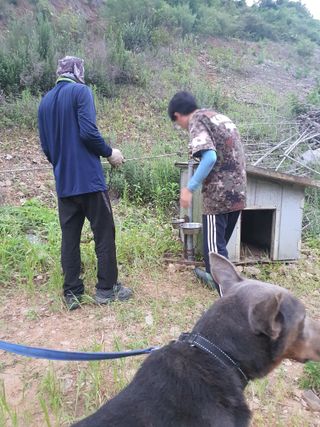 엘림농장님의 고구마 · 자유게시판 작성글 사진
