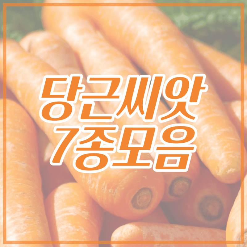 장터 상품 [당근씨앗 7종 (택1) - 신흑전5촌,유럽6촌,노랑당근,빨강당근,자색당근,베이비당근,파스닙] 썸네일