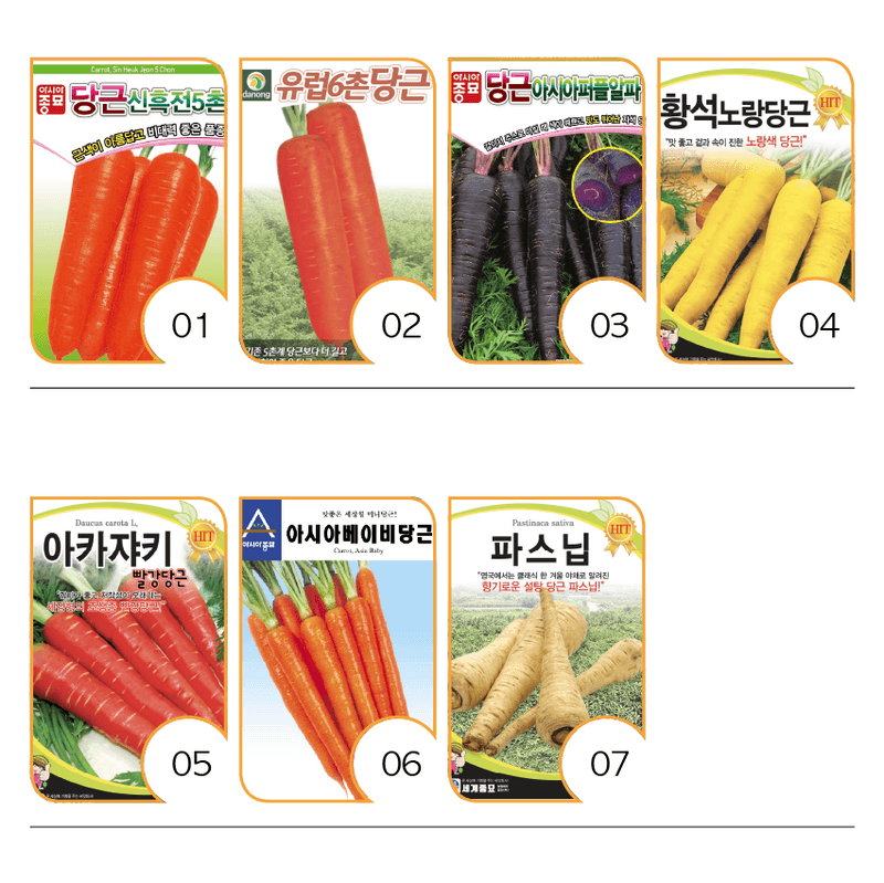 주주씨앗님의 장터 판매 상품 [당근씨앗 7종 (택1) - 신흑전5촌,유럽6촌,노랑당근,빨강당근,자색당근,베이비당근,파스닙] 첨부 사진