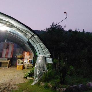 달맛햇복숭아농원님의 복숭아 · 자유게시판 작성글 사진