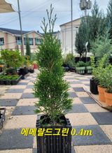 팜모닝 · 게시글 이미지