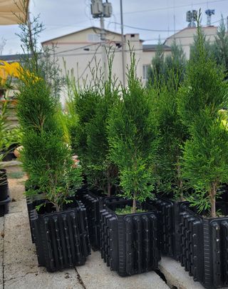 이선미님의 작성글 사진