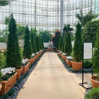 이선미님의 작성글 사진