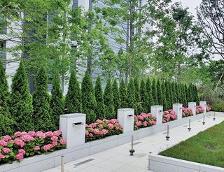 이선미님의 작성글 사진