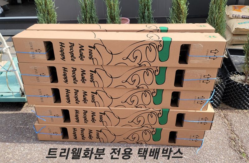 이선미님의 장터 판매 상품 [에메랄드그린 50cm 트리웰화분묘 팝니다./ 택배가능] 첨부 사진