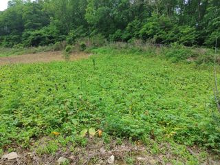 알 수 없음님의 작성글 사진