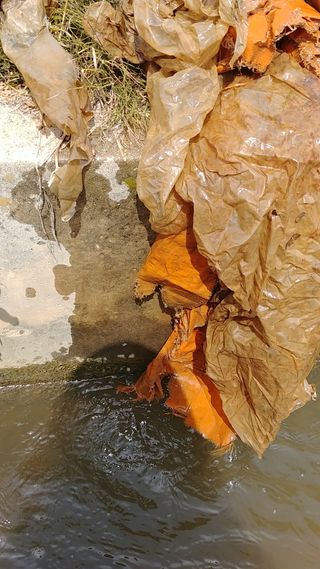 이복길님의 벼 · 자유게시판 작성글 사진