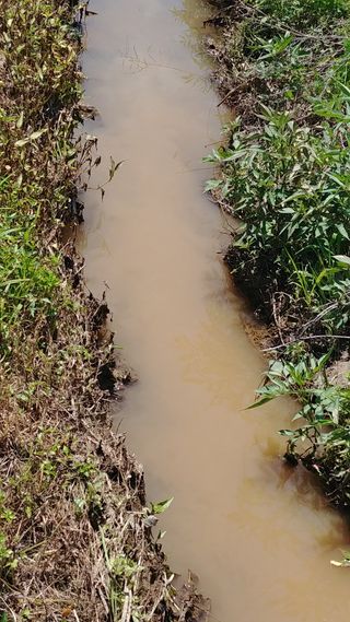 이복길님의 벼 · 자유게시판 작성글 사진