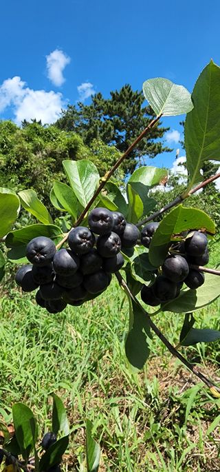 김우진님의 작성글 사진
