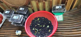 김우진님의 작성글 사진