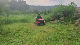 황영출님의 벼 · 영농일지 작성글 사진