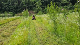 황영출님의 벼 · 영농일지 작성글 사진