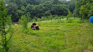 황영출님의 벼 · 영농일지 작성글 사진