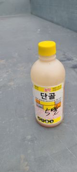 팜모닝 콩·자유게시판 게시글 이미지