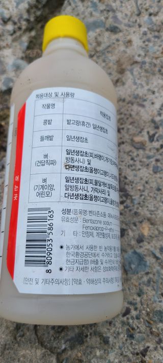 정희조님의 콩 · 자유게시판 작성글 사진