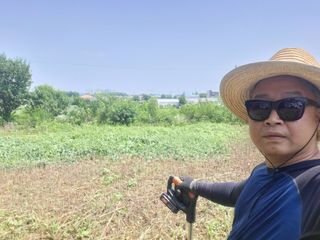 로만아빠님의 감자 · 영농일지 작성글 사진